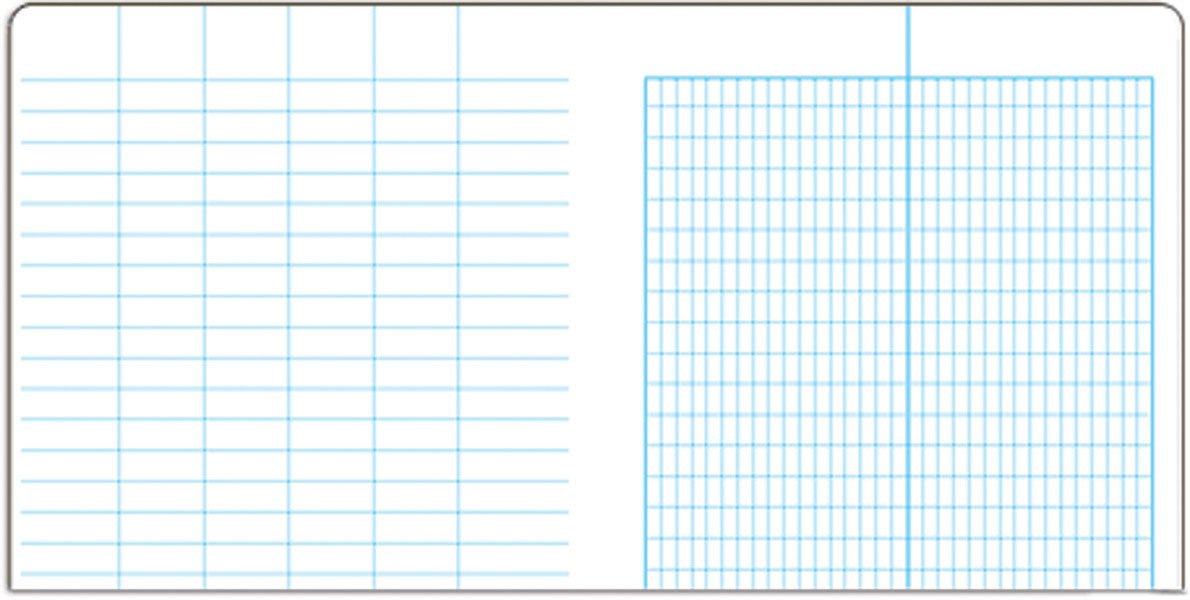 Field Books - Rite In The Rain Bound Book — Transit Pattern Pages