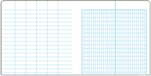 Field Books - Rite In The Rain Bound Book — Transit Pattern Pages