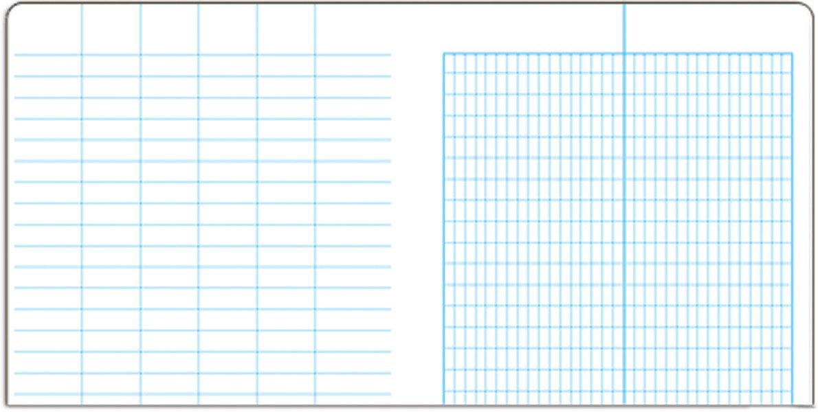 Field Books - Rite In The Rain Bound Book — Transit Pattern Pages